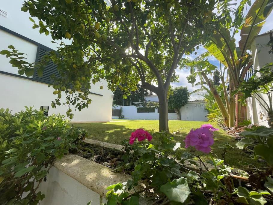 Sunset Villa Arcos 아르코스델라프론테라 외부 사진